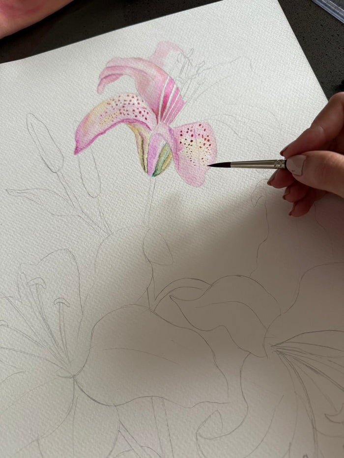 Hand Painted