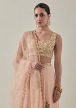 Load image into Gallery viewer, Coral Haze Lehenga
